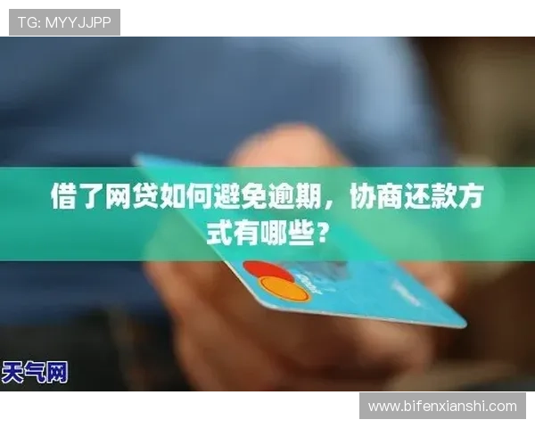 三包波胆怎么分配本金避坑指南极速提现攻略